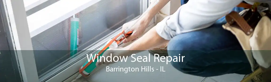 Window Seal Repair Barrington Hills - IL