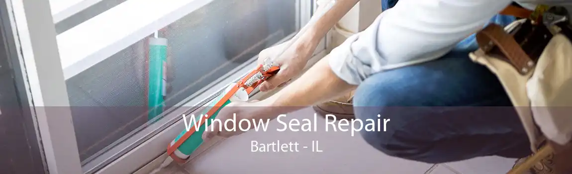 Window Seal Repair Bartlett - IL