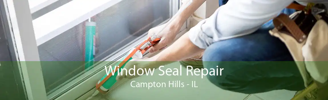 Window Seal Repair Campton Hills - IL