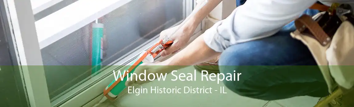 Window Seal Repair Elgin Historic District - IL