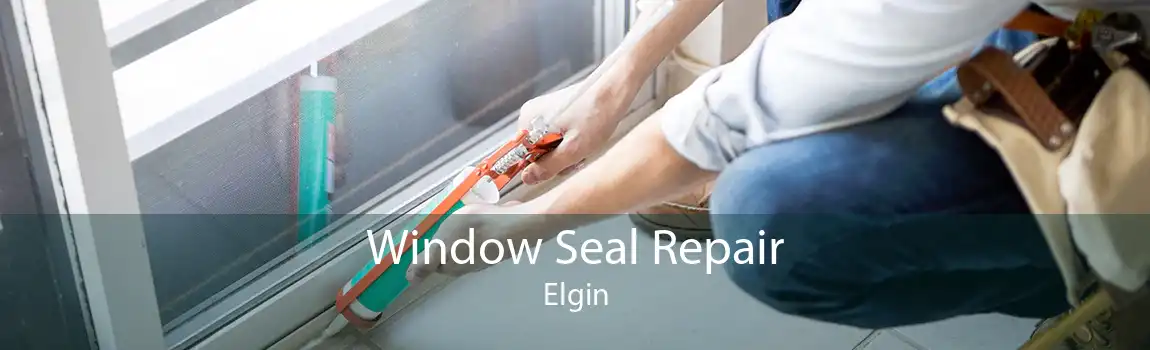 Window Seal Repair Elgin