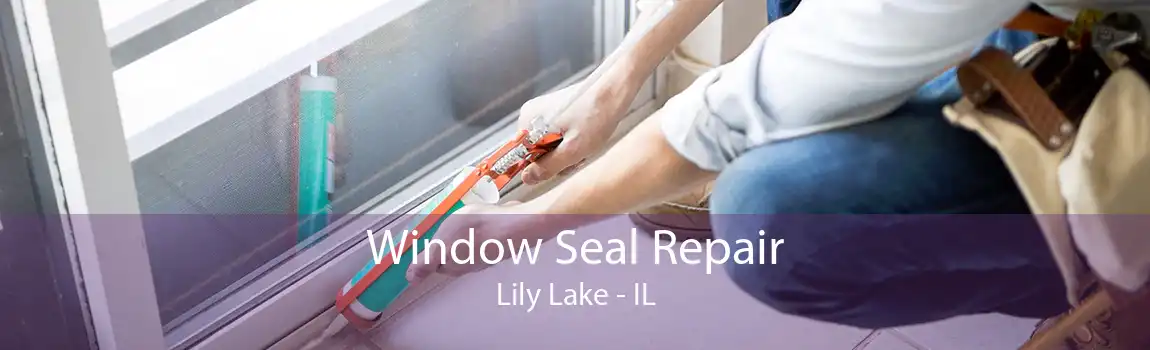 Window Seal Repair Lily Lake - IL