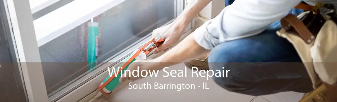 Window Seal Repair South Barrington - IL